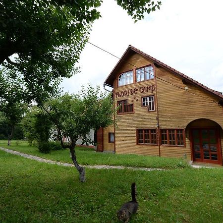 Pensiunea Flori De Camp Vatra Dornei Exteriör bild