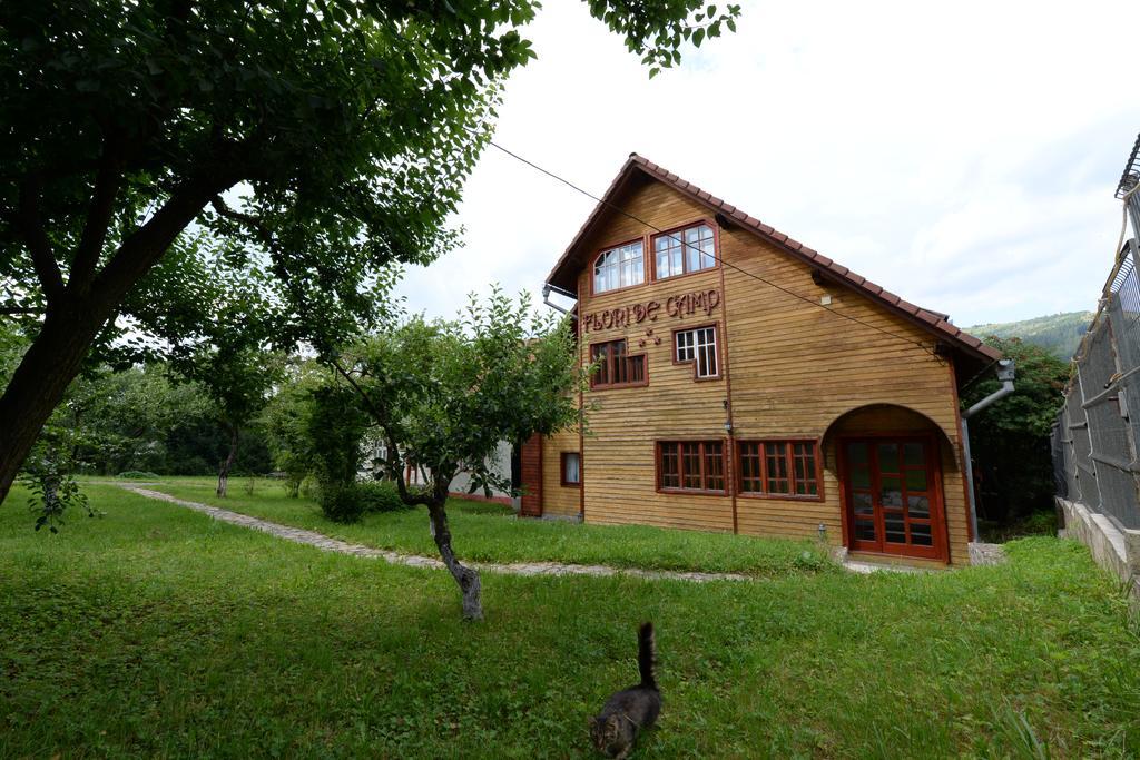 Pensiunea Flori De Camp Vatra Dornei Exteriör bild