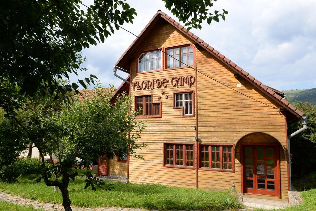 Pensiunea Flori De Camp Vatra Dornei Exteriör bild