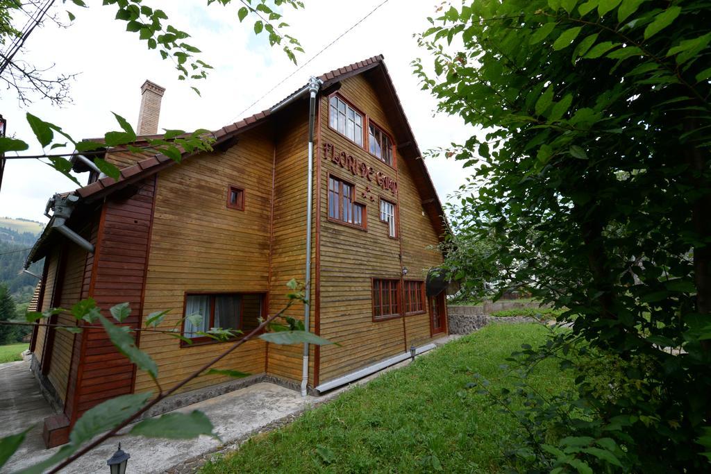 Pensiunea Flori De Camp Vatra Dornei Exteriör bild