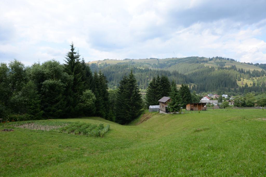 Pensiunea Flori De Camp Vatra Dornei Exteriör bild