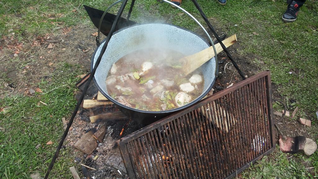 Pensiunea Flori De Camp Vatra Dornei Exteriör bild