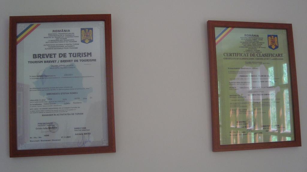 Pensiunea Flori De Camp Vatra Dornei Rum bild