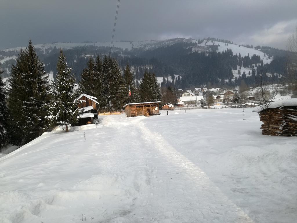 Pensiunea Flori De Camp Vatra Dornei Exteriör bild