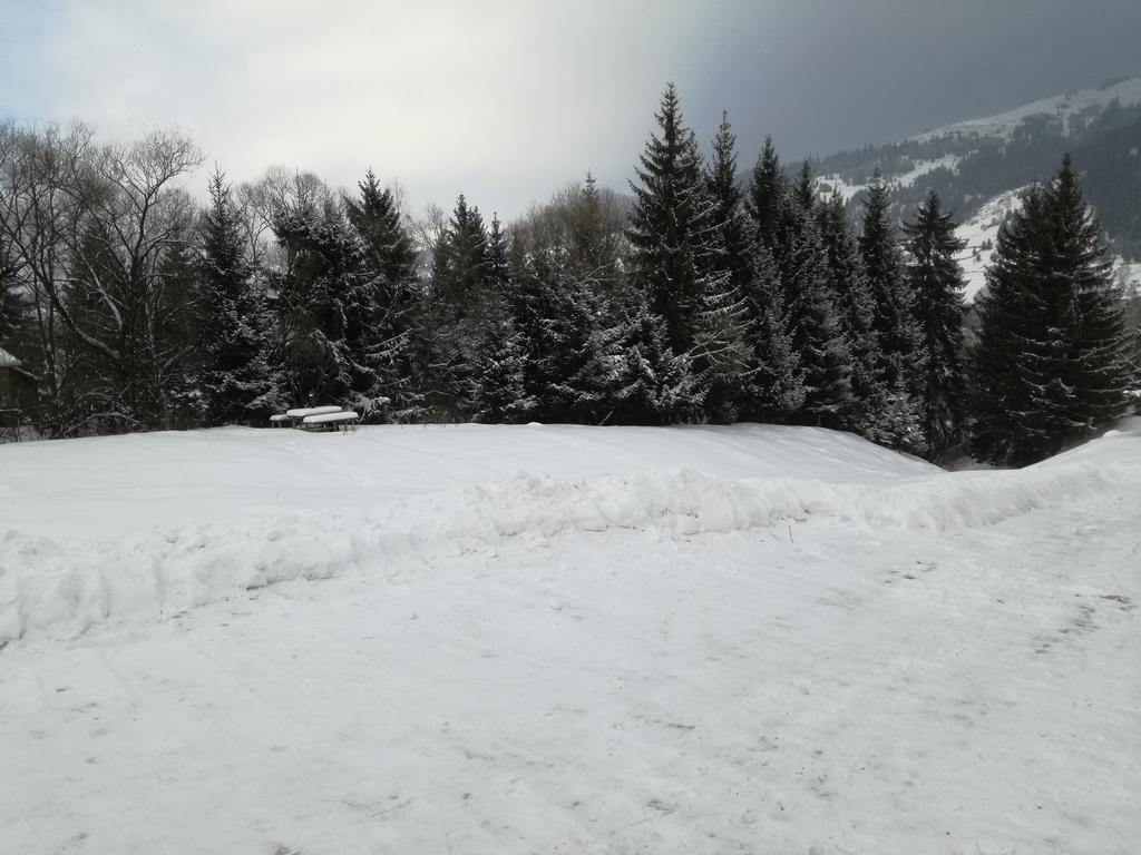 Pensiunea Flori De Camp Vatra Dornei Exteriör bild