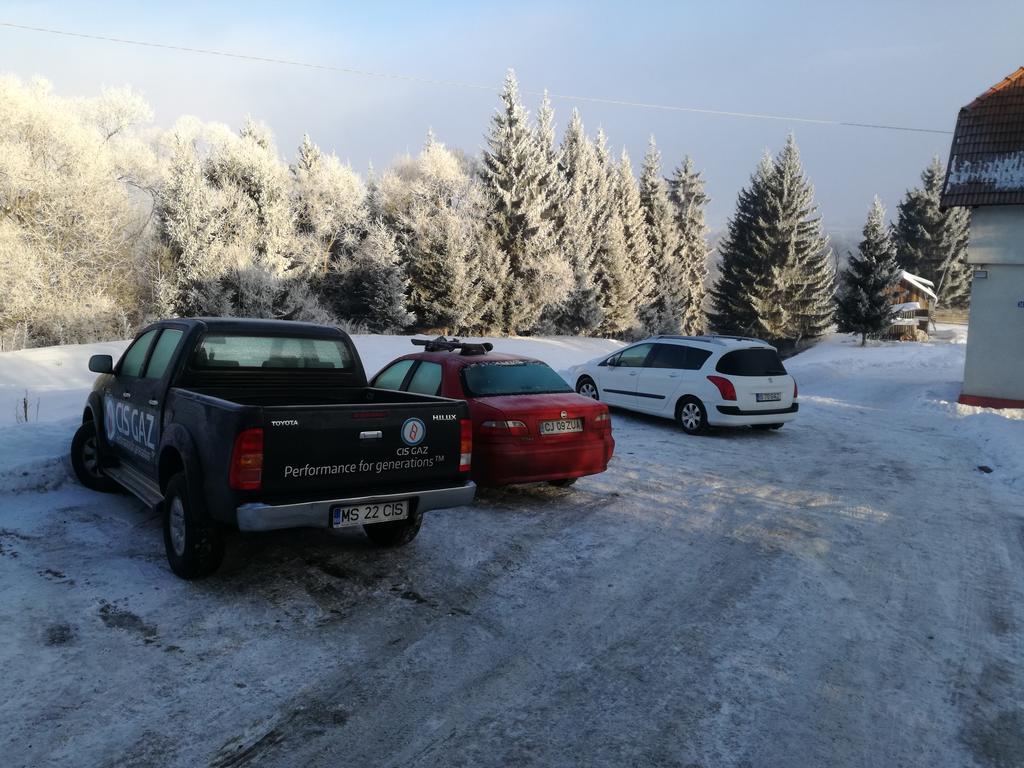 Pensiunea Flori De Camp Vatra Dornei Exteriör bild